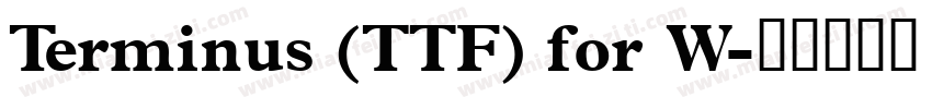 Terminus (TTF) for W字体转换